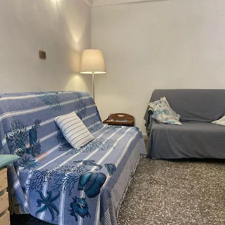 Le Conchiglie Di Taranto Mediterranea
